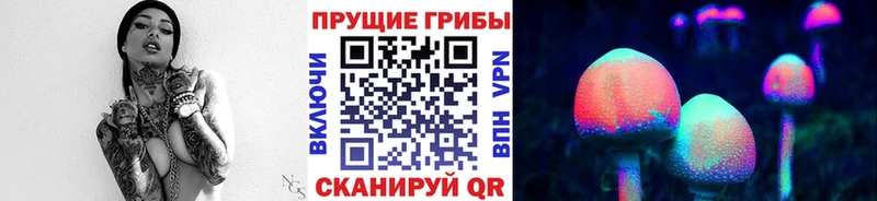 Галлюциногенные грибы GOLDEN TEACHER  Гаврилов-Ям 